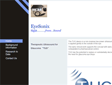 Tablet Screenshot of eyesonix.com